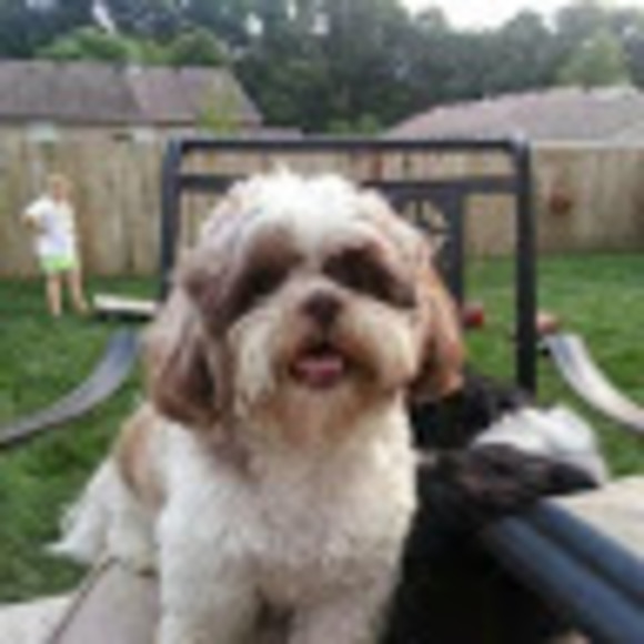 Meet your Posher, Mommy hac - Picture 1 of 1